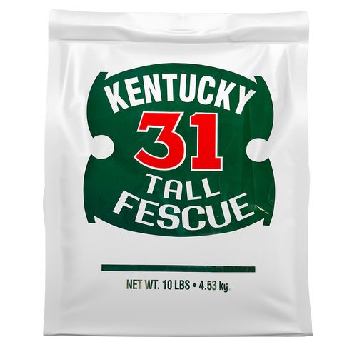 K31 Tall Fescue 10 Pound Bag