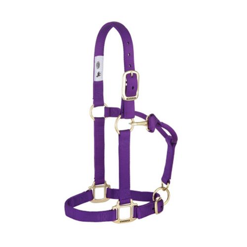 Weaver™ Adj. Chin and Throat Snap Halter 1 In. Average Purple