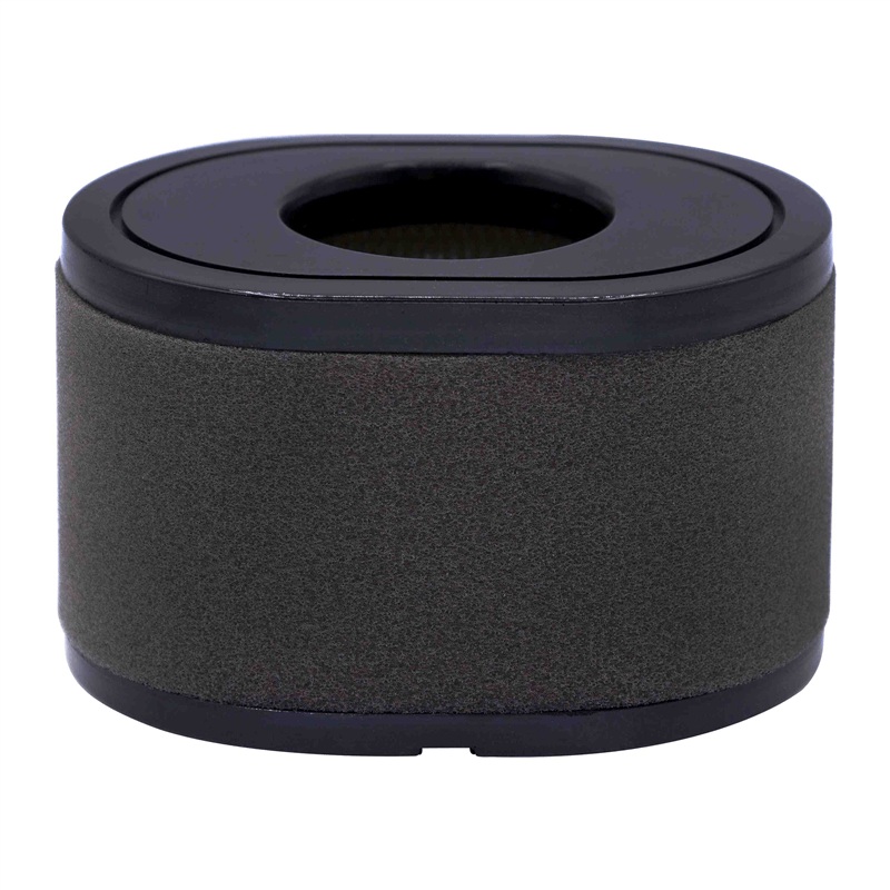 21567400 Air Filter (FILTER AIR)