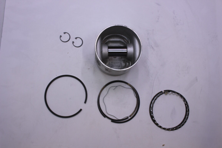 Kohler 49 874 03-S Piston W/Ring Set .010
