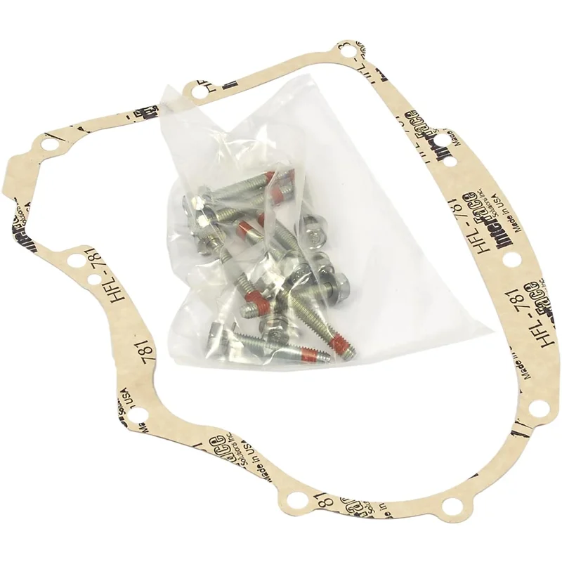 594195 Briggs and Stratton Crankcase Gasket Kit 697227