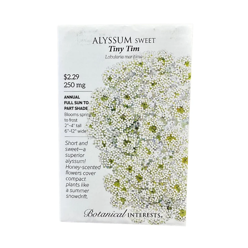 Alyssum Sweet Tiny Tim