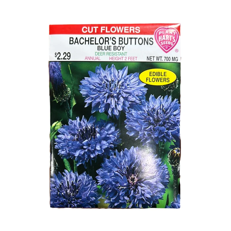 Bachelor Button Blue