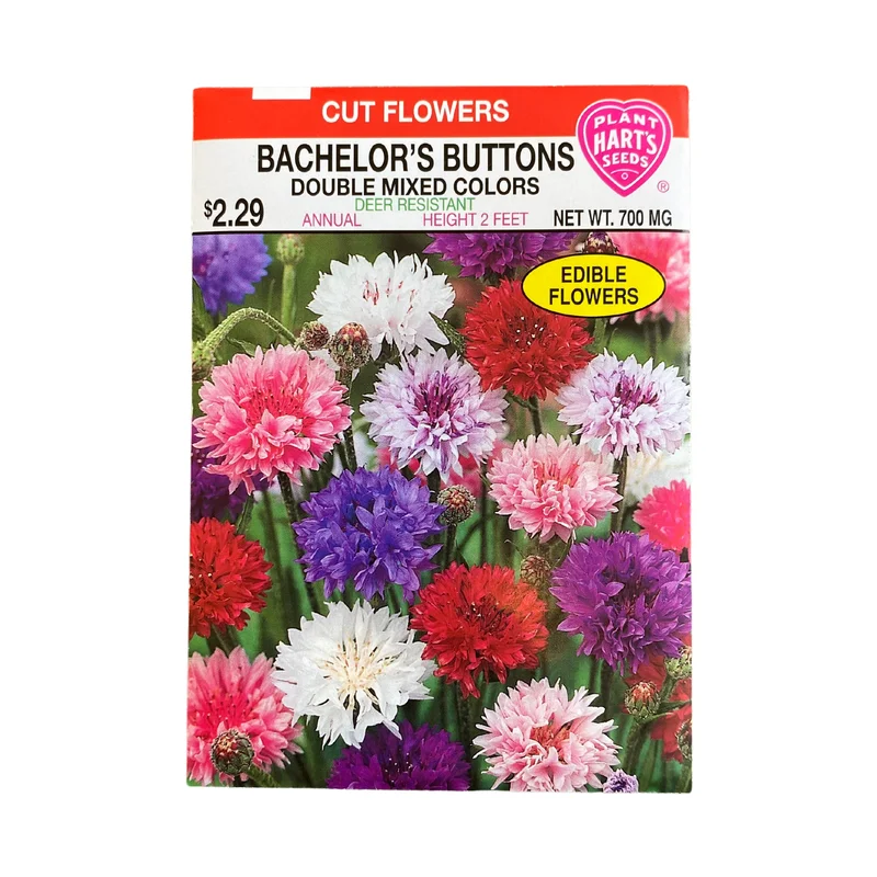 Bachelor Button Mix