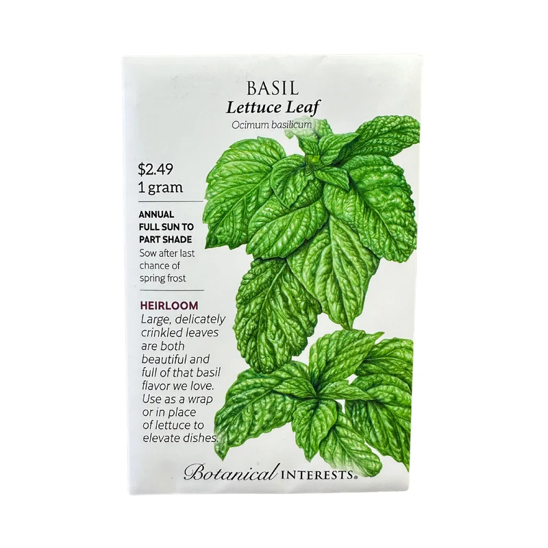 Basil Lettuce Leaf