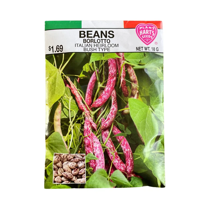 Bean Borlotto