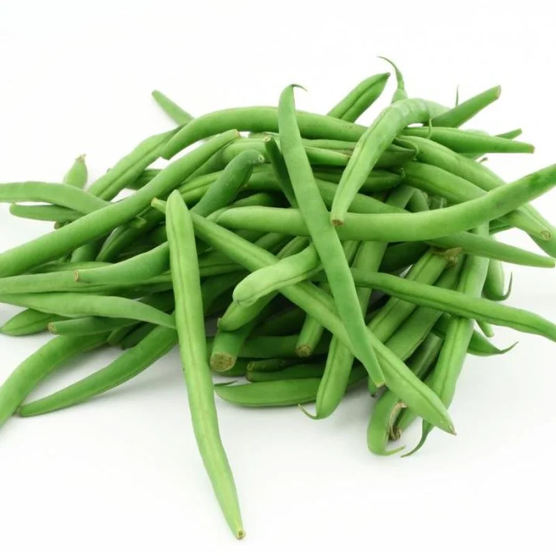 BEAN BUSH BLUE LAKE – FLAT OF 32 PLANTS