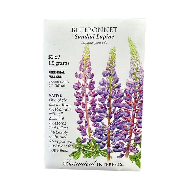 Bluebonnet Sundial Lupine