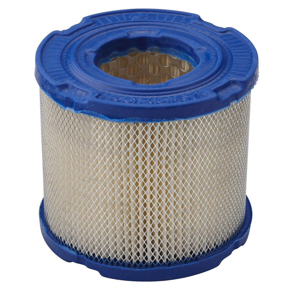 Briggs & Stratton Filter-A/C Cartridge 393957S