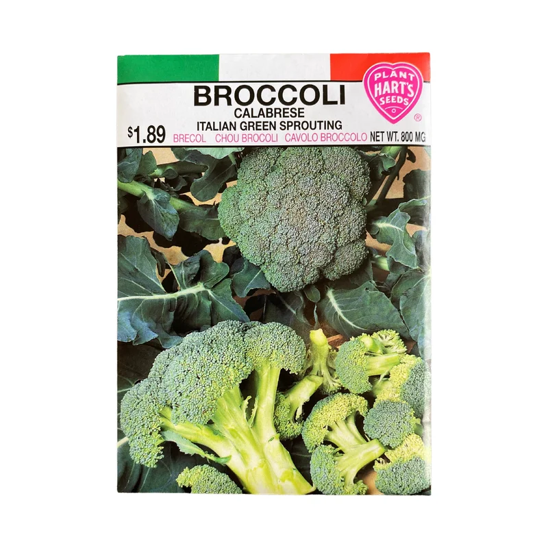 Broccoli Calabrese