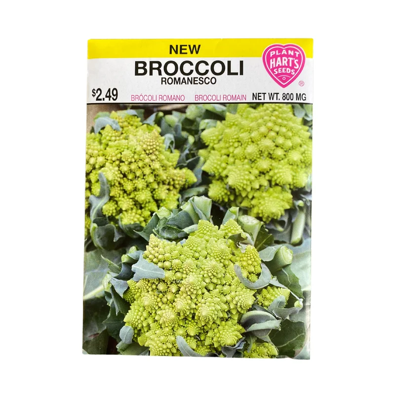 Broccoli Romanesco