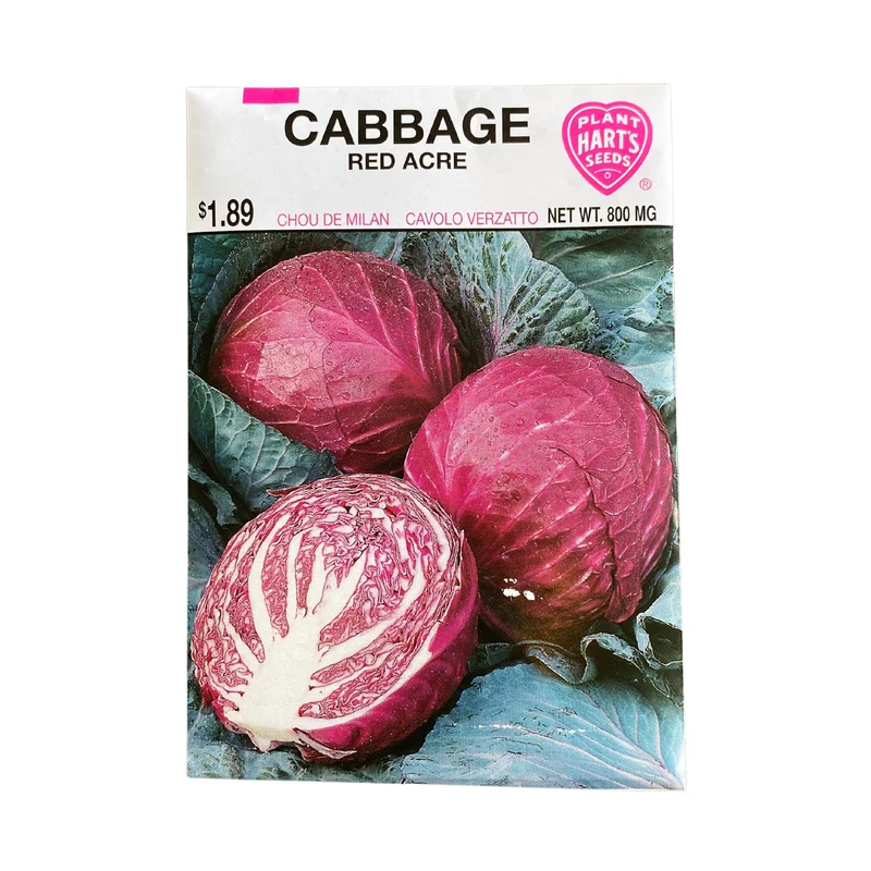 Cabbage Red Acre