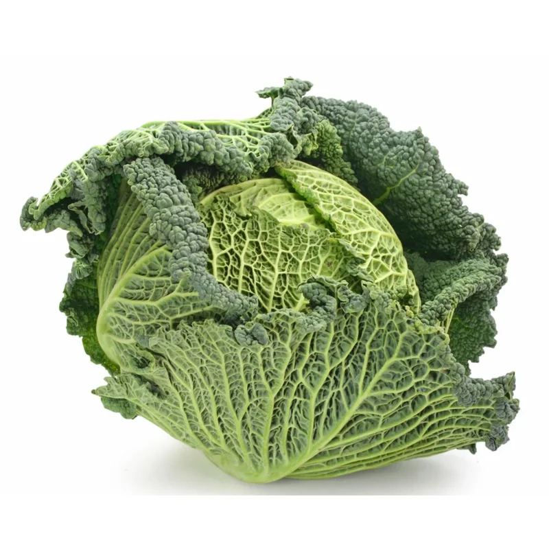 CABBAGE SAVOY EXPRESS – FLAT OF 32 PLANTS
