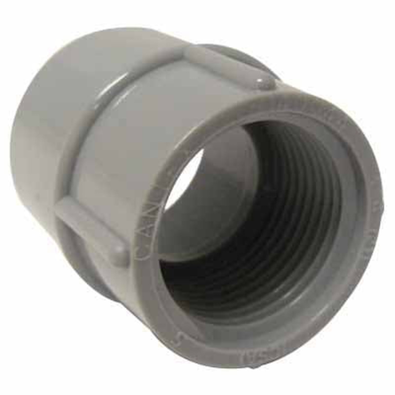 CANTEX 5140048 Adapter, 2 in Trade, PVC