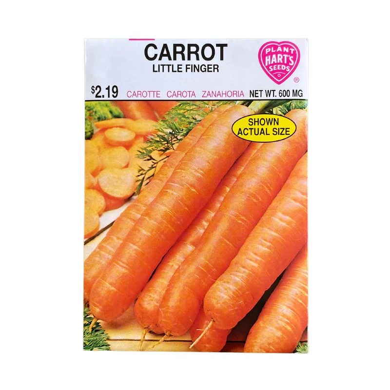 Carrot Little Finger