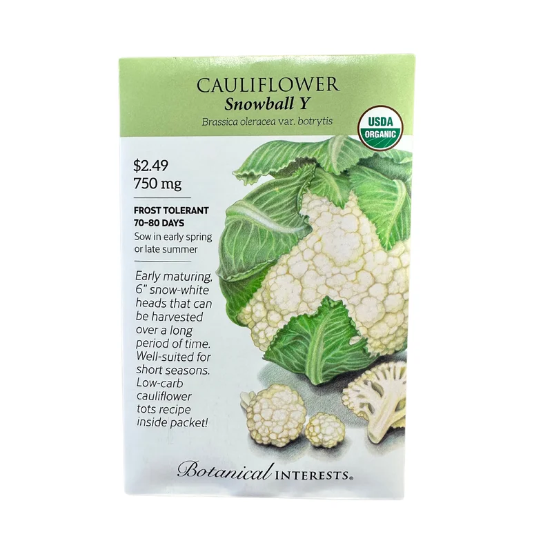 Cauliflower Snowball Y Org