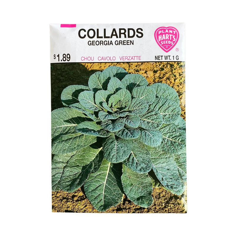 Collards Georgia Green