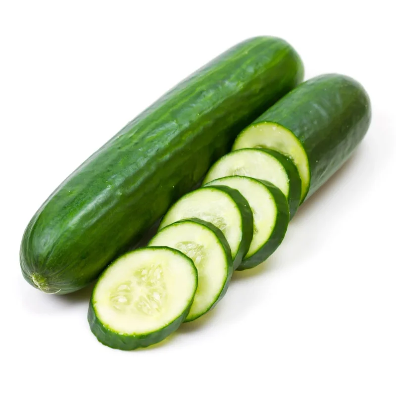 CUCUMBER SLICING BURPLESS SEEDLESS – 4″ POT
