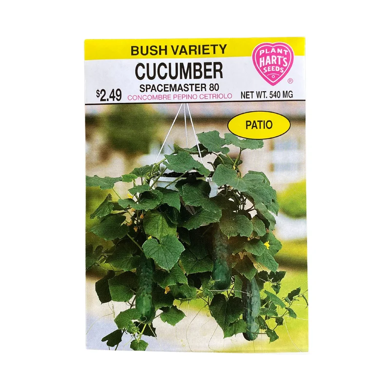 Cucumber Spacemaster 80