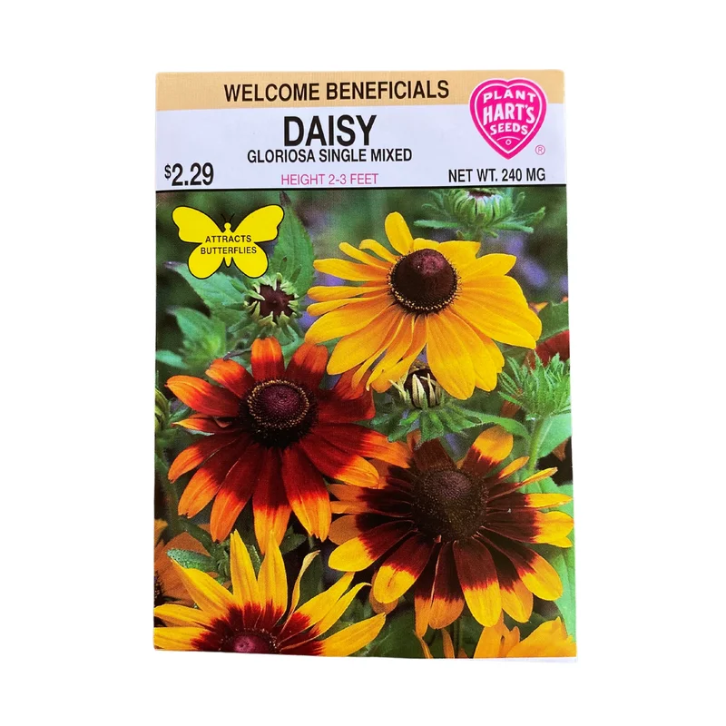 Daisy Gloriosa Single Mix