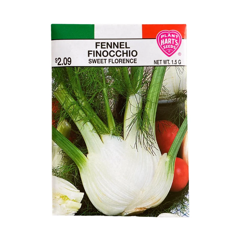 Fennel Sweet Florence