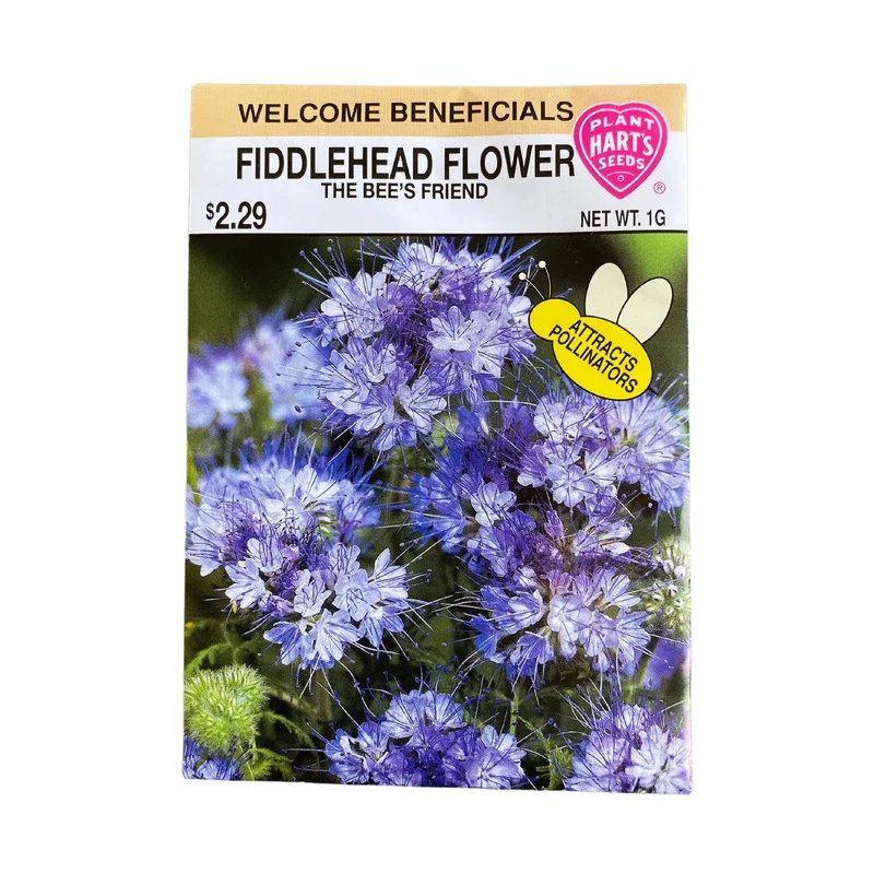 Fiddlehead Flower (Bee’s Friend)