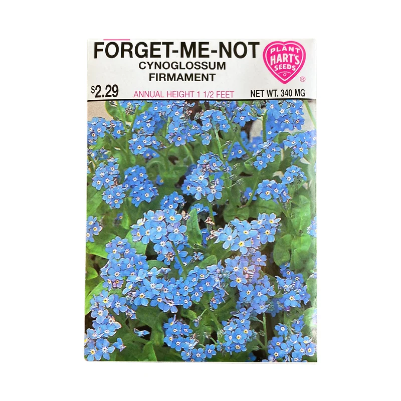 Forget Me Not