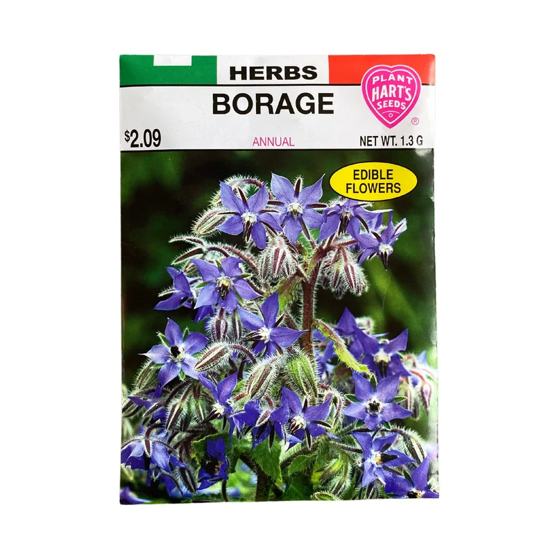 Herb Borage