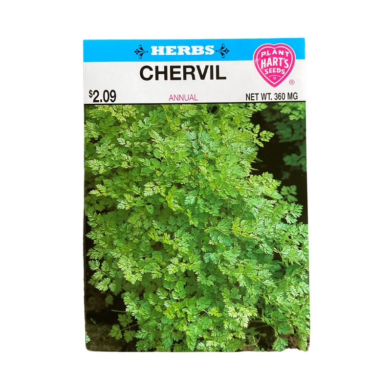 Herb Chervil