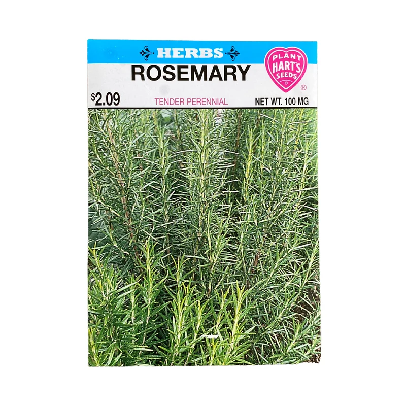 Herb Rosemary