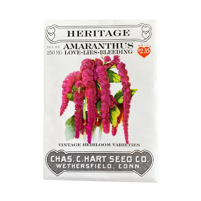 Heritage Amaranthus LoveLies Bleeding