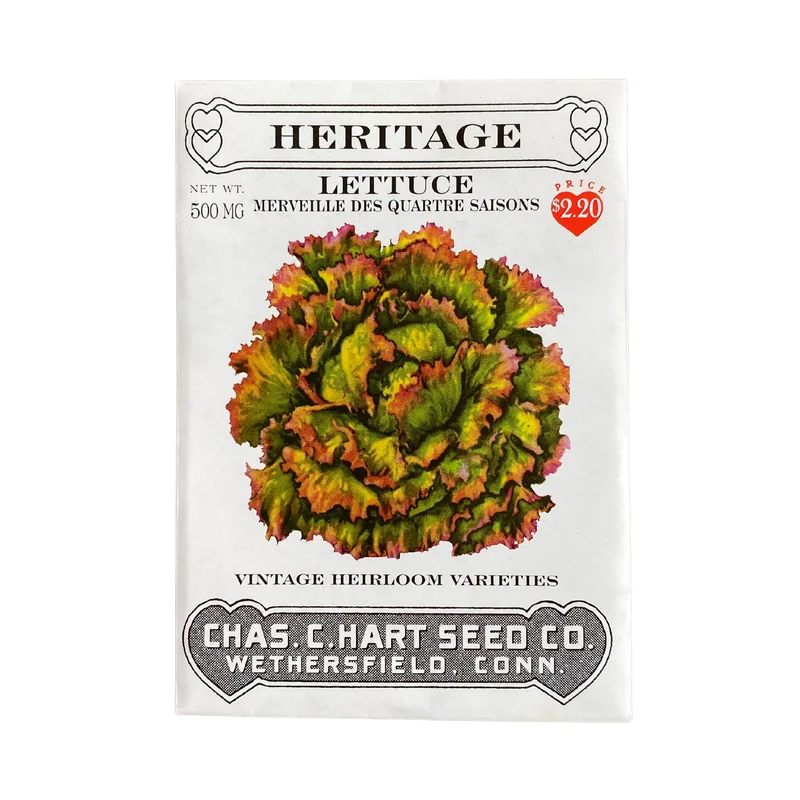 Heritage Lettuce Merveille des Quartes Seasons