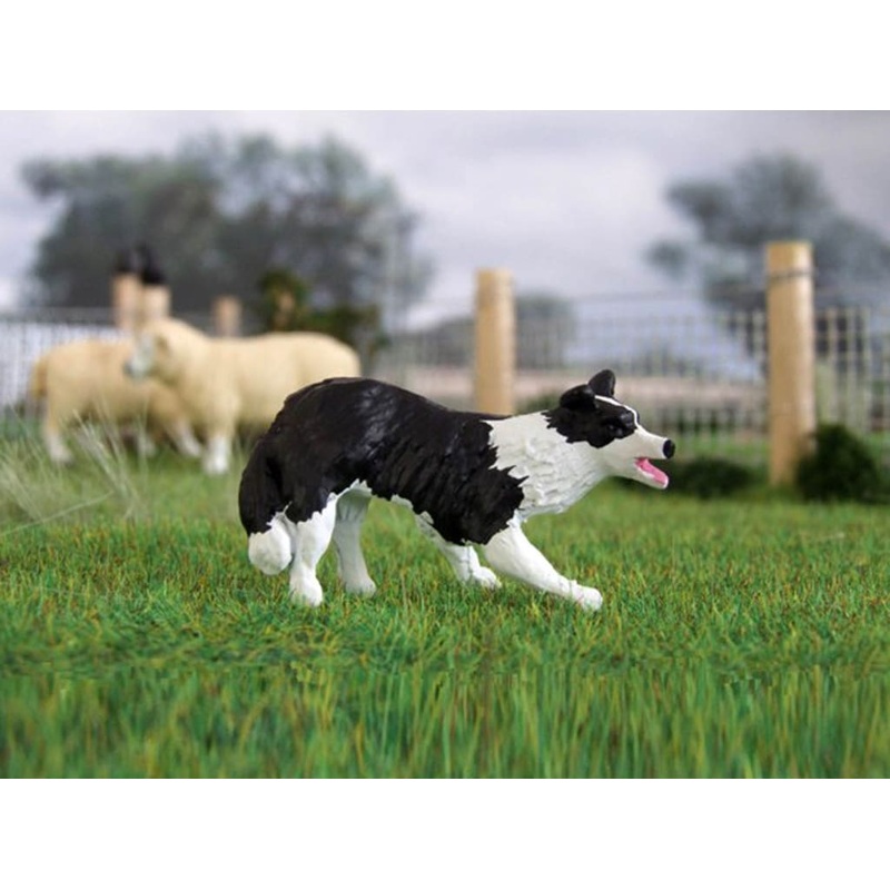 HLT-WMA14 HLT Farm Border Collie Lucy
