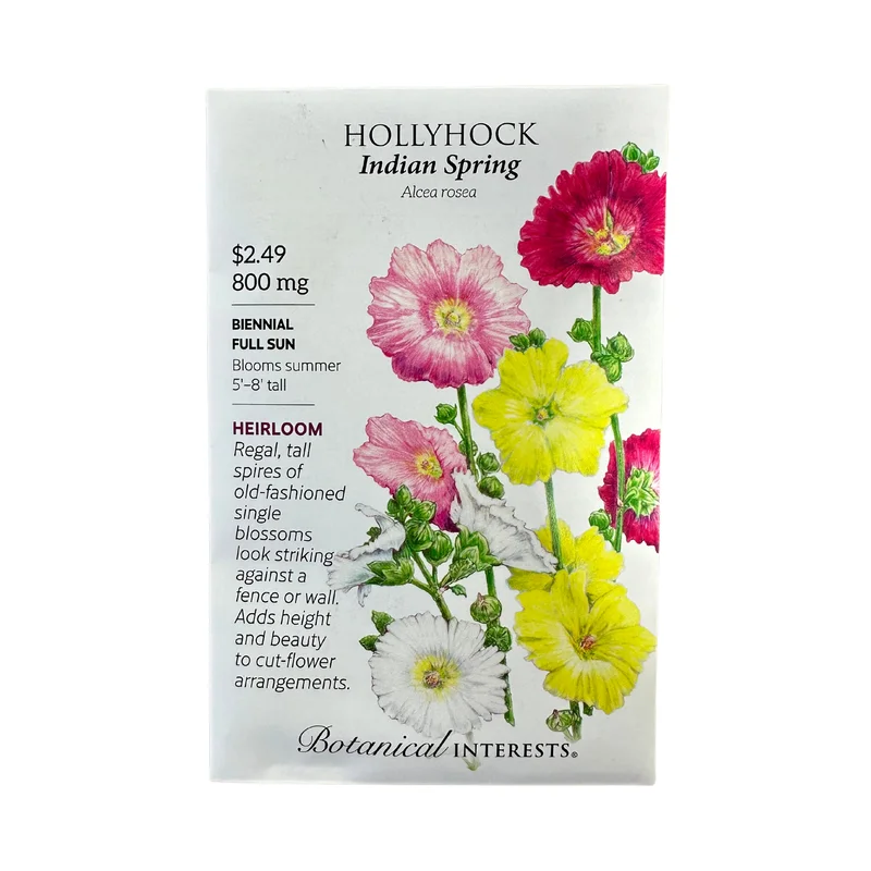 Hollyhock Indian Spring