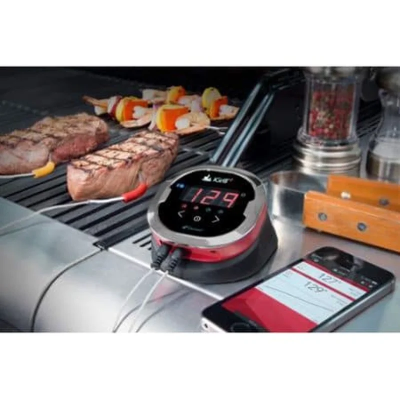 IGRILL 2 – INCLUDES 2 PROBES