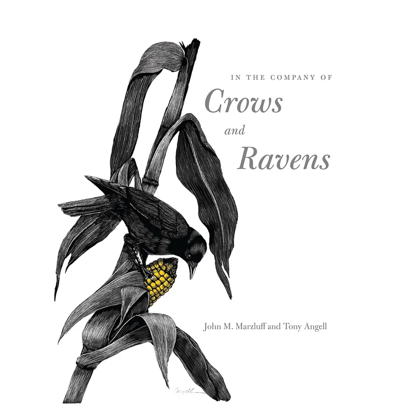 In the Company of Crows and Ravens by John M. Marzluff, Tony Angelo