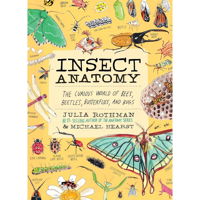 Insect Anatomy: The Curious World of of Bees, Beetles, Butterflies, and Bugs