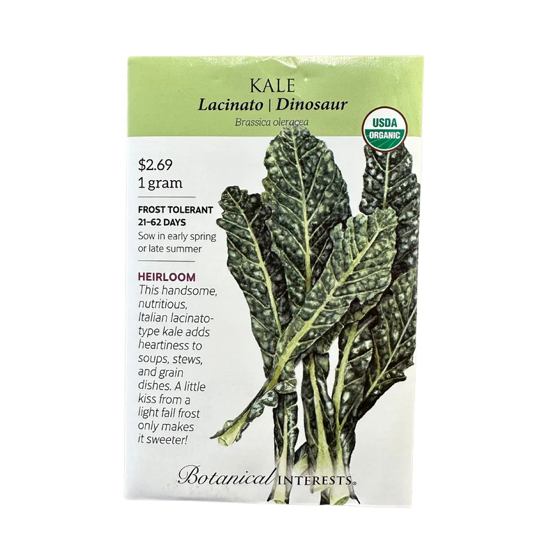 Kale Lacinato | Dinosaur