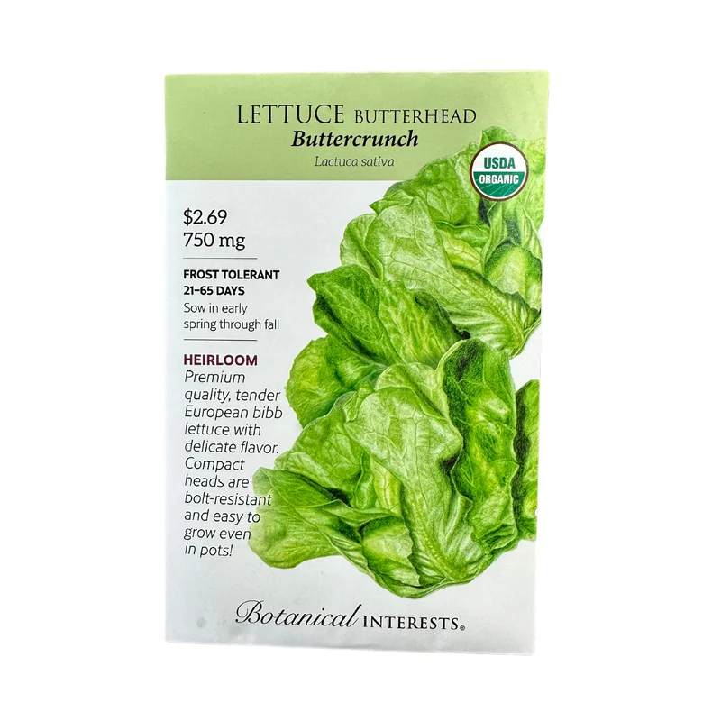 Lettuce Butterhead Buttrcrnch Org