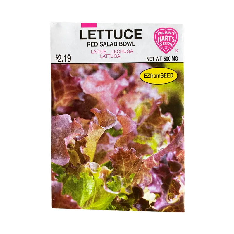Lettuce Red Salad Bowl