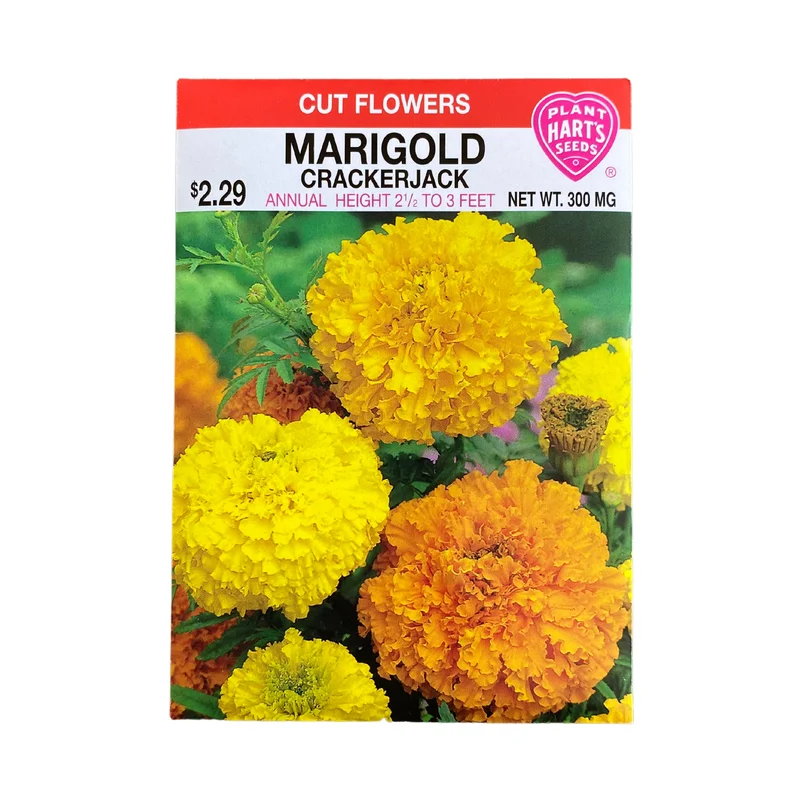 Marigold Crackerjack