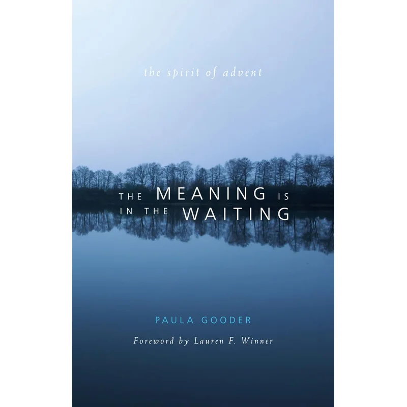 Meaning Is in the Waiting: The Spirit of Advent by Paula Gooder