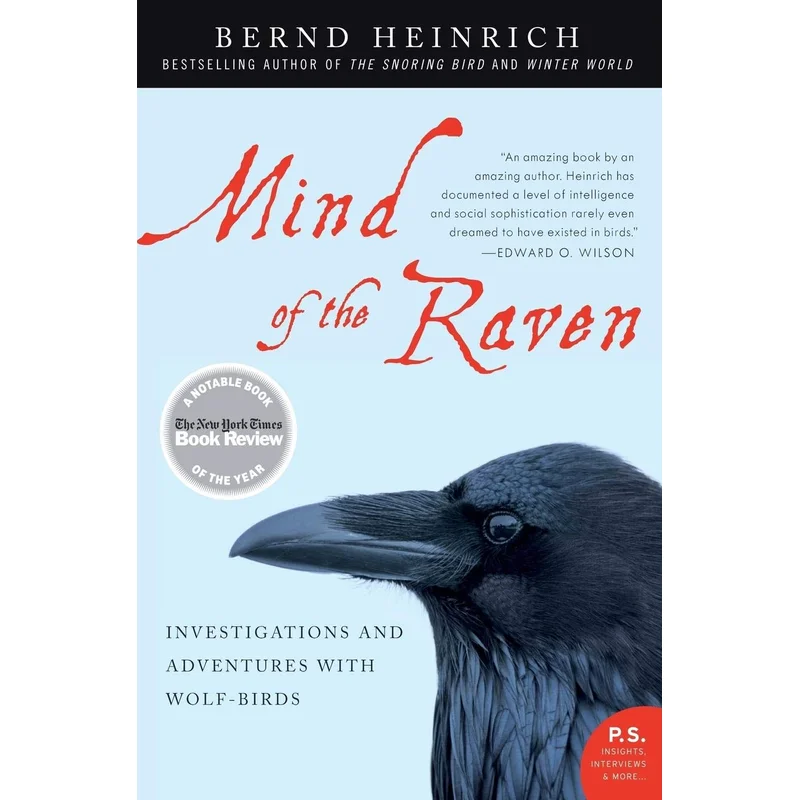 Mind of the Raven: Investigations and Adventures with Wolf-Birds by Bernd Heinrich
