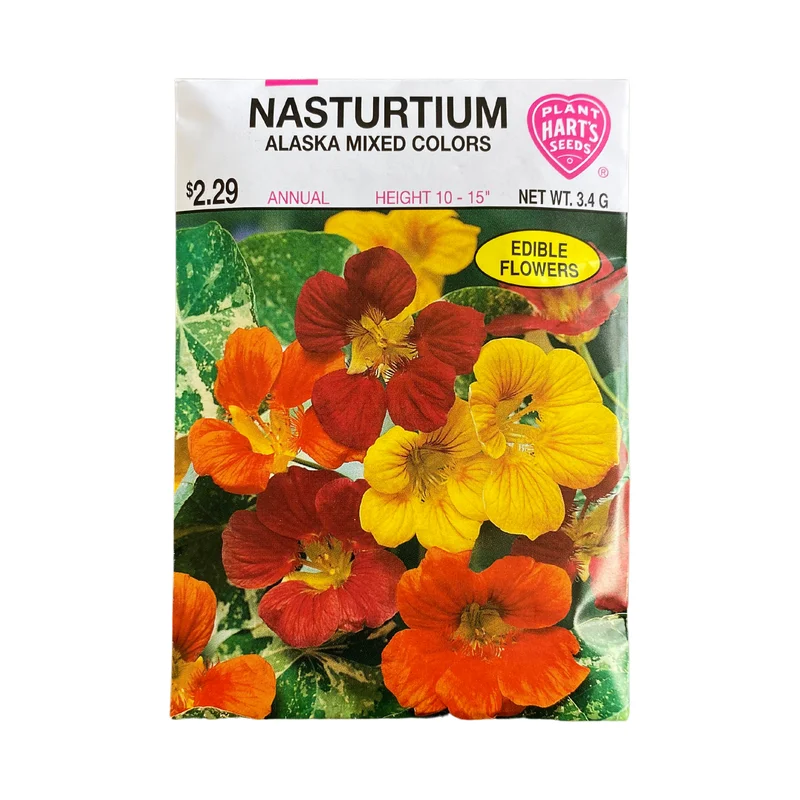 Nasturtium Alaska