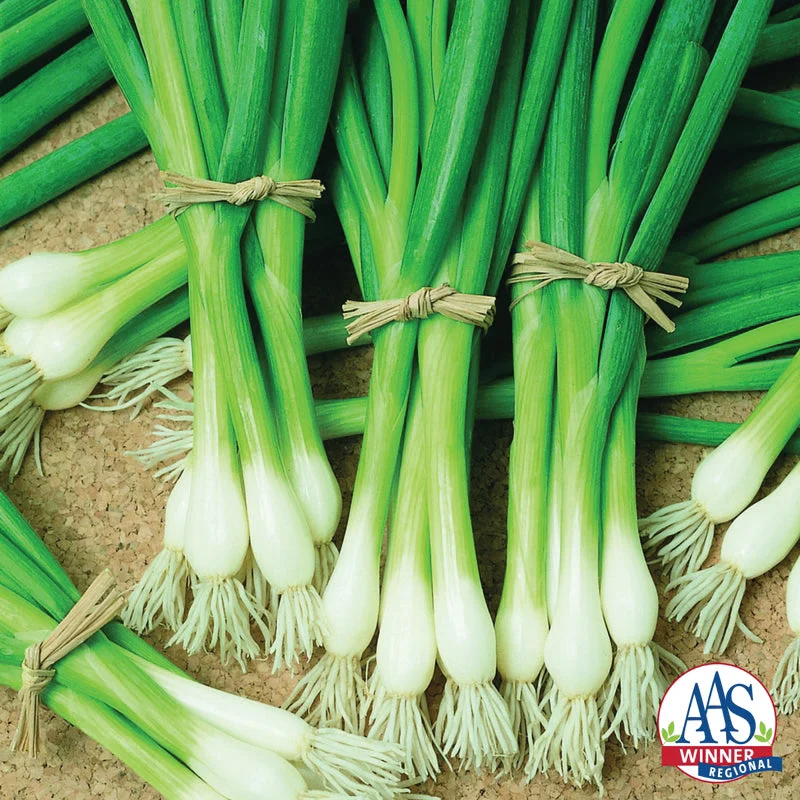 ONION BUNCHING WARRIOR