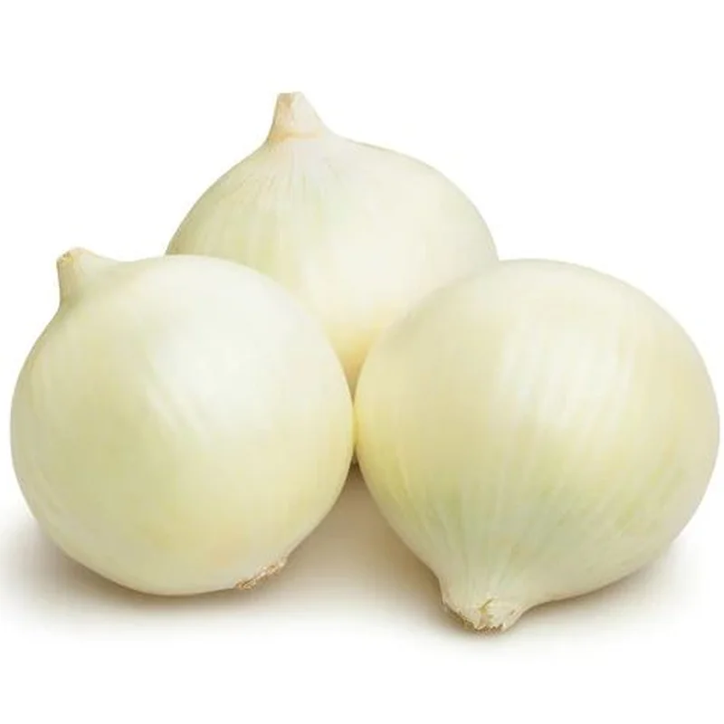 ONION WHITE SWEET SPANISH – FLAT OF 32 PLANTS