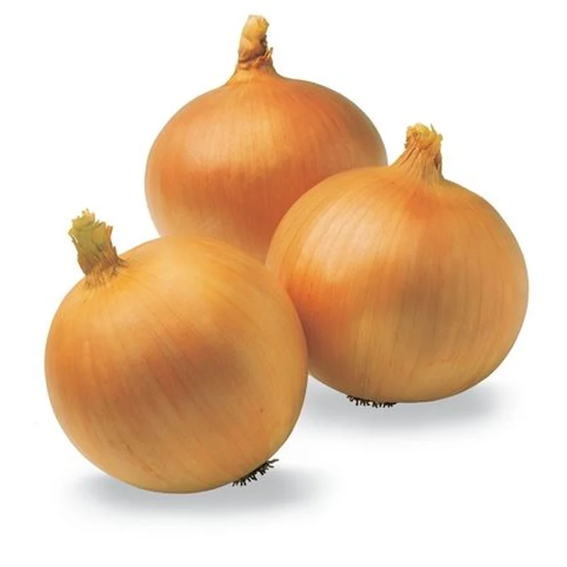 ONION YELLOW SWEET SPANISH – FLAT OF 32 PLANTS