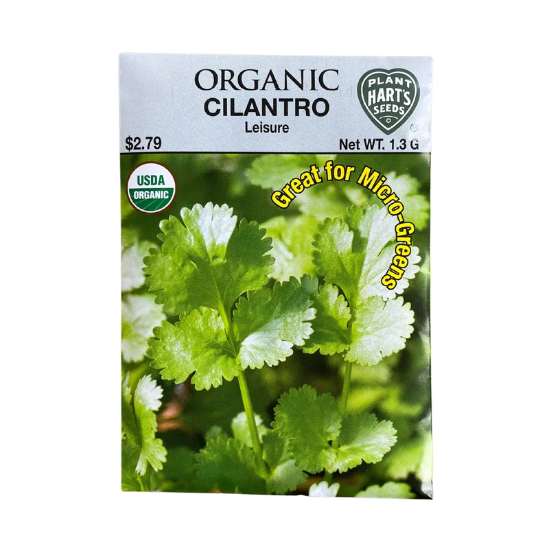 Organic Cilantro Leisure
