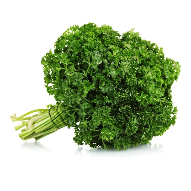 PARSLEY CURLY CRISPUM