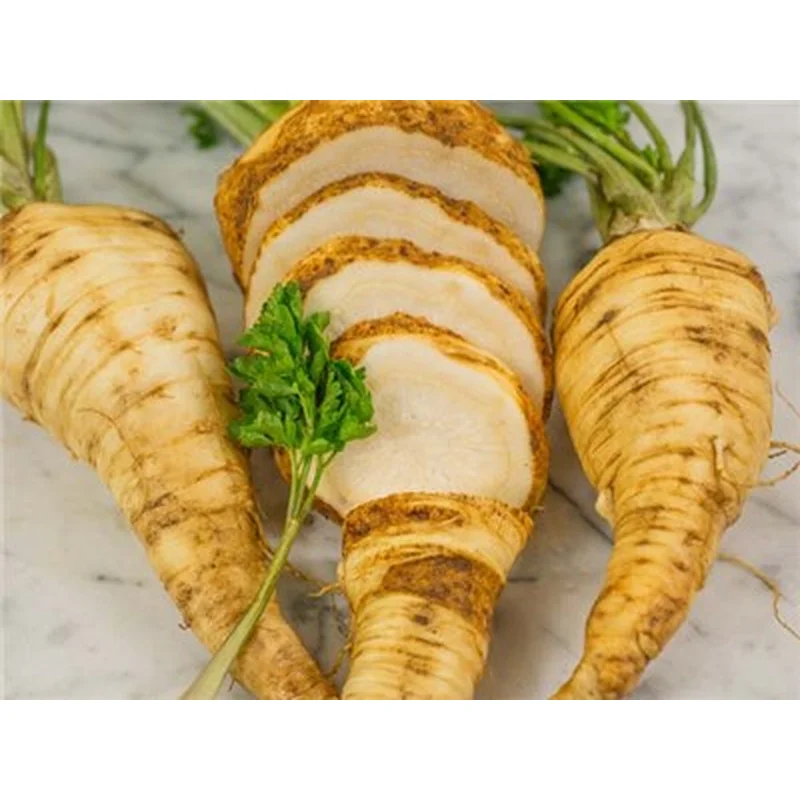 Parsley Hamburg Root